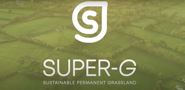 ADASGroup's tweet photo. Do you have permanent #grassland? @H2020SuperG are looking to interview landowners about how their grassland systems are being managed. Those interviewed will be entered into a £500 prize draw!
More info - https://t.co/7ltGY0ftgJ
To register your interest -https://t.co/lgn3LgadcW https://t.co/yHFzHNDBCC