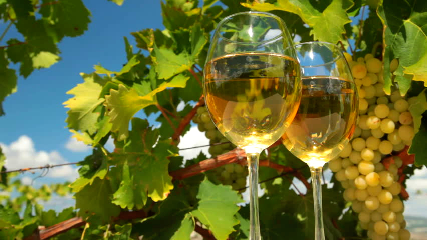 GeorgiaWineland's tweet photo. 🇬🇪☀ Lagvinari, Tsitska ➖The best wine is the one we drink with friends.
Wine:  white, dry
Grapes: Tsitska
Region: Imereti - Georgia
Producer: Lagvinari winery
Strength: 1️⃣2️⃣%
Volume: 0️⃣7️⃣5️⃣ L
Price-from 2️⃣0️⃣ $

#wine #winelandgeorgia #winelover #vino #winetasting #enjoywine https://t.co/ofJo6dDqYO