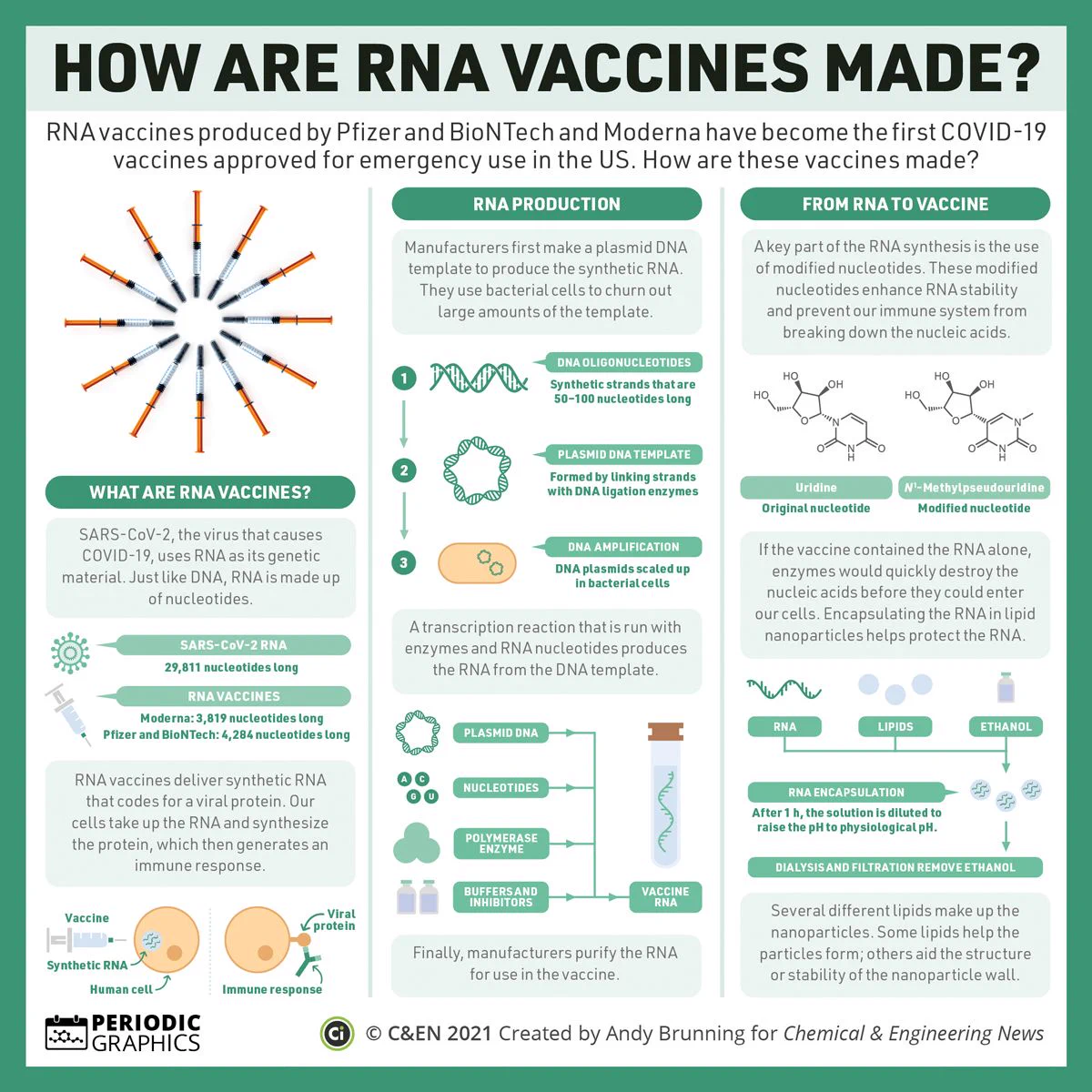 An infographic shows how RNA-based vaccines are made