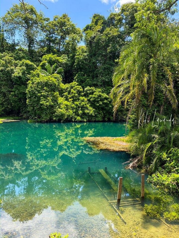 Le Congo Est Chic tweet media