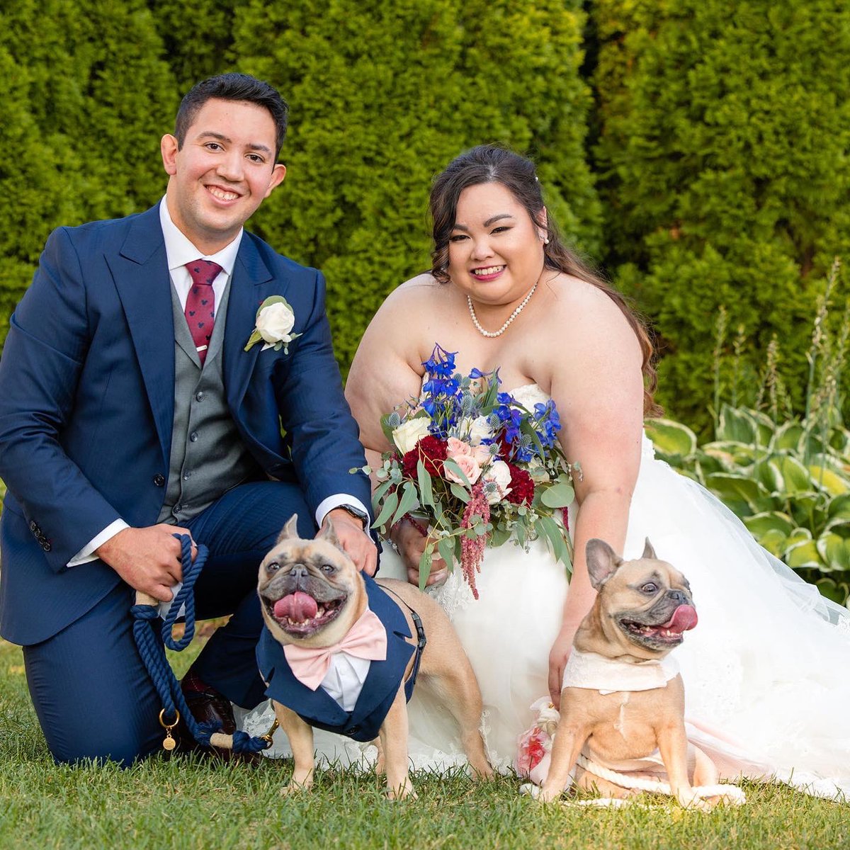 klagmaychau's tweet photo. @missremiashten My girls were our best dog and dog of honor in our big day 🥰 https://t.co/EDkE3CAcca