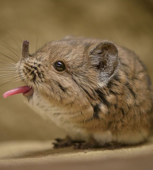 top 10 most important images (thread)