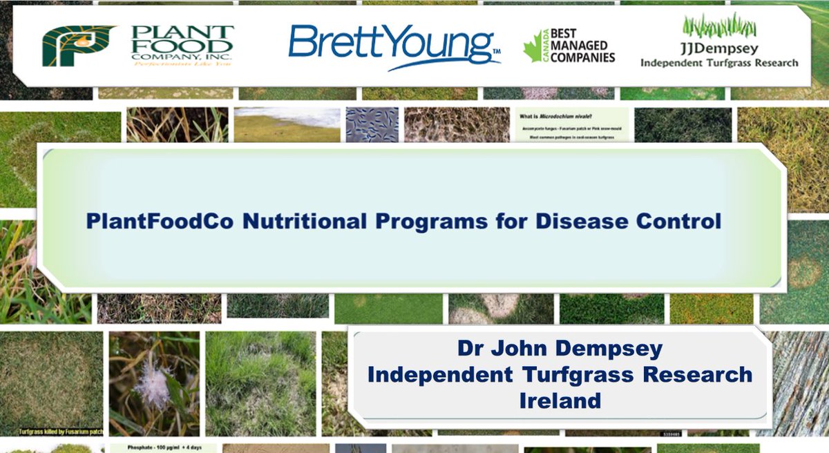J_J_Dempsey's tweet photo. Start of the new week and another presentation to prepare, this is for @BYTurf and @PlantFoodCo in Canada later this month 😀🧐#Turfrass #Disease #Control #PlantHealth https://t.co/6rWeY8NGTE
