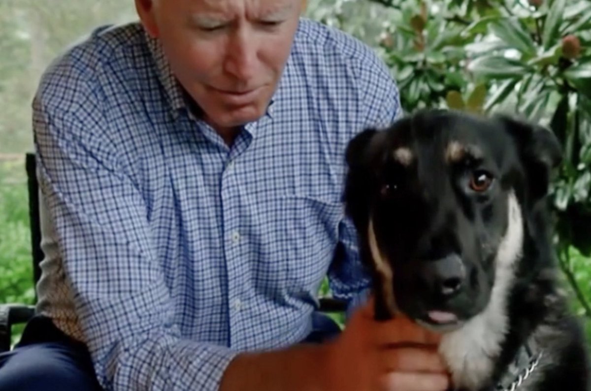 Bailey Warren tweet media