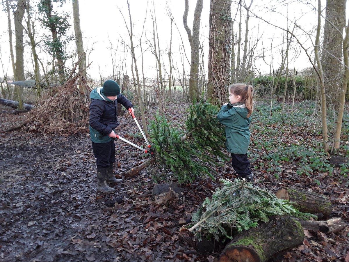 Don't forget to recycle your Christmas tree at Ashbridge. All donated trees will be used for Forest School.