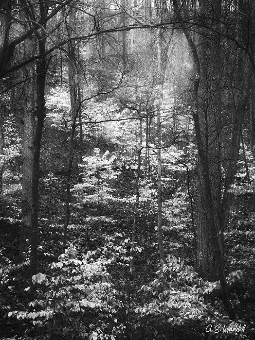 New artwork for sale! - "Last Stand" - fineartamerica.com/featured/last-… @fineartamerica