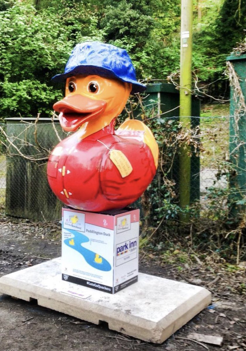 Here is Paddington Duck for #InternationalUnsolicitedDuckPicDay #Shropshire #salop #paddington