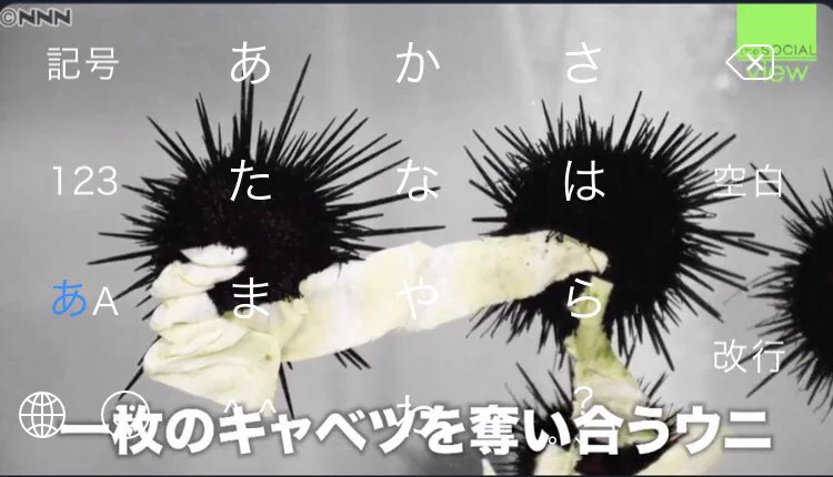 @555godzilla その画像キーボードにしてるw 