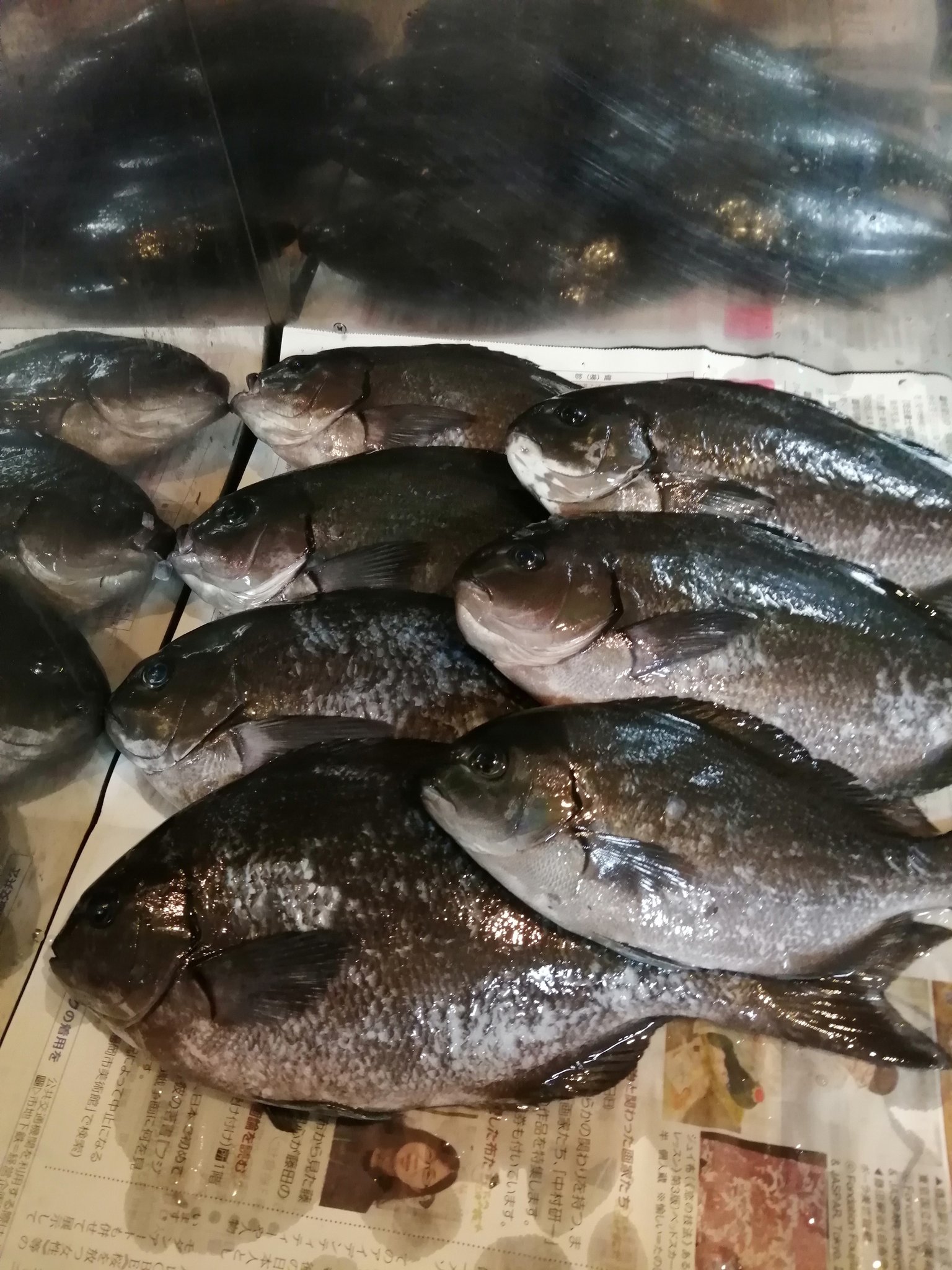 いっしー 魚突き料理人 今日の突果 ではなく イケメン料理長が釣ってこられたお魚を頂いたので久し振りに 佐賀県産寒グレの中華蒸し 寒グレのお造り 昆布締め 酢締め 湯引き 寒グレの潮汁 メジナの中華蒸しは初めてしたけどめちゃくちゃ美味しかっ
