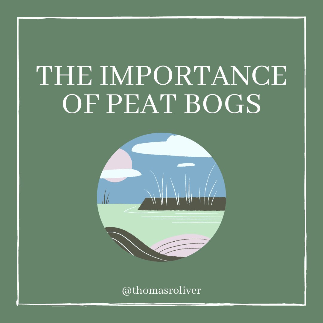 The importance of peat bogs  #SciComm  #ScienceTwitter  #ClimateCrisis  #ClimateEmergency