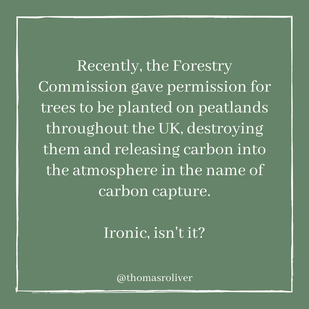 Recently, the Forestry Commission gave permission for trees to be planted on peatlands throughout the UK, destroying them and releasing carbon into the atmosphere in the name of carbon capture. Ironic, isn't it?