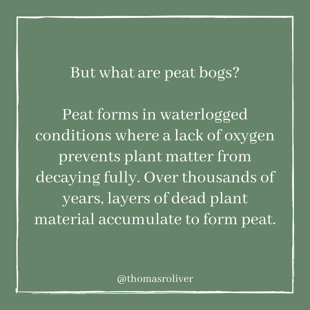 But what are peat bogs?Peat forms in waterlogged conditions where a lack of oxygen prevents plant matter from decaying fully. Over thousands of years, layers of dead plant material accumulate to form peat.