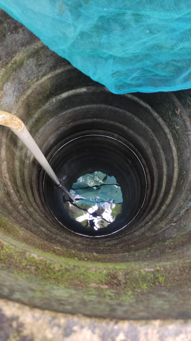 LabRajeev's tweet photo. Continuing my tweets on #subterranean fishes, here is an image of a dug-out well in the #lateritic zone of #Kerala - a typical habitat of subterranean fishes. The enigmatic fishes appear in these wells randomly, and collecting them from these systems is a difficult task!!
#fish https://t.co/J1BfiFYDTT