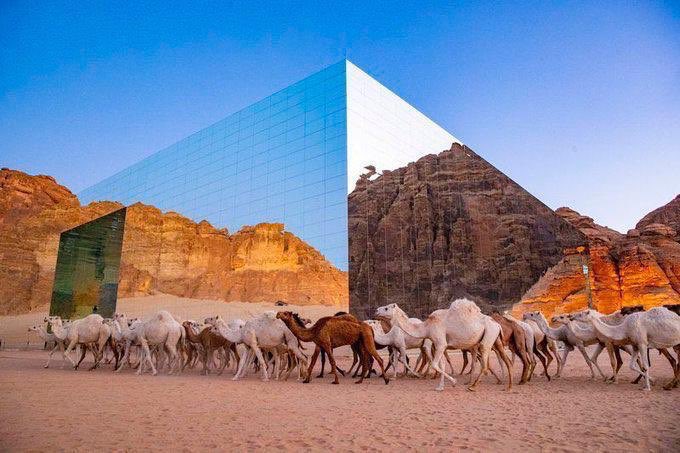 NASEER_OB's tweet photo. حضارة واصالة .. 🐪 https://t.co/xJPKQOH4HX