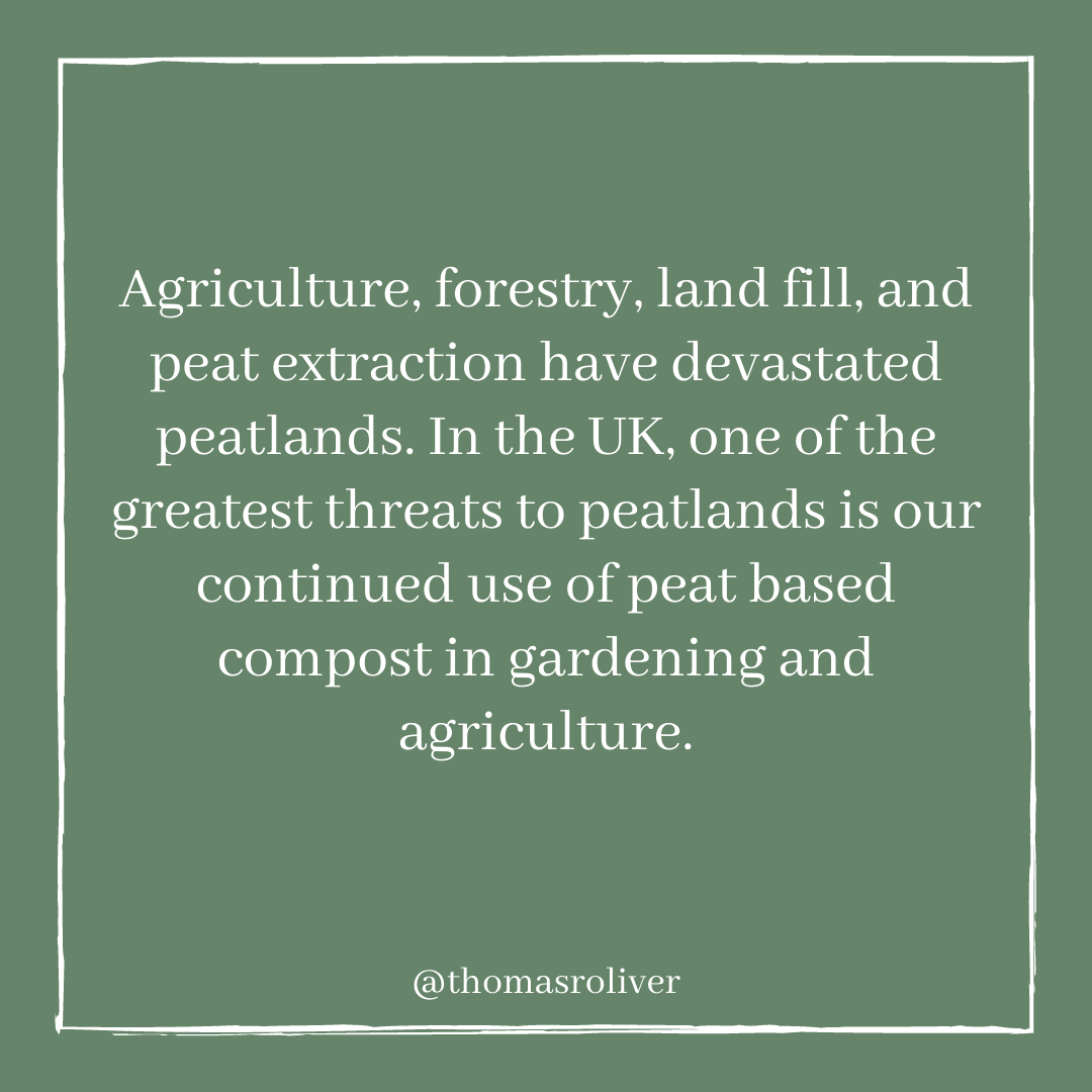 Agriculture, forestry, land fill, and peat extraction have devastated peatlands. In the UK, one of the greatest threats to peatlands is our continued use of peat based compost in gardening and agriculture.