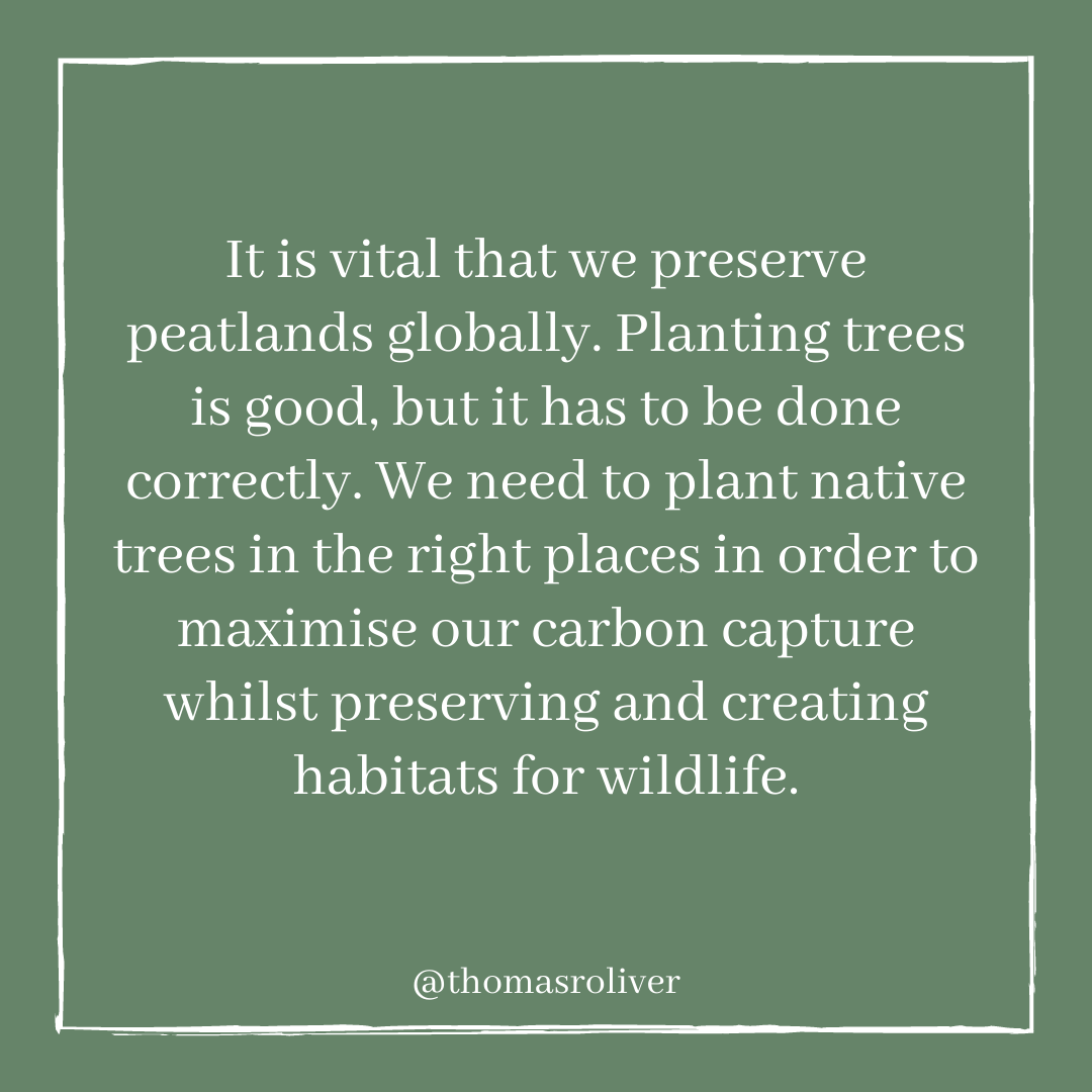 It is vital that we preserve peatlands globally. Planting trees is good, but it has to be done correctly. We need to plant native trees in the right places in order to maximise our carbon capture whilst preserving and creating habitats for wildlife.