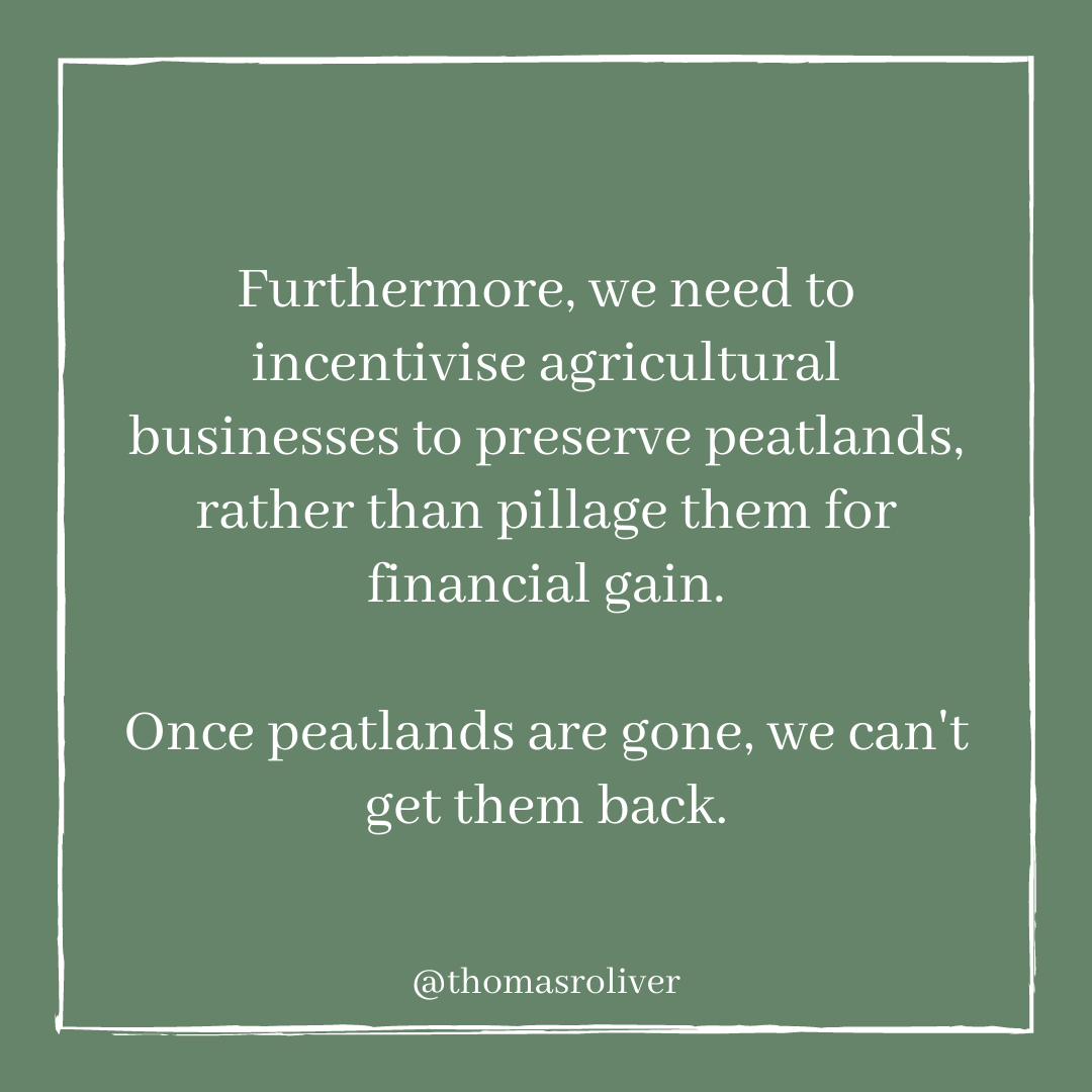 Furthermore, we need to incentivise agricultural businesses to preserve peatlands, rather than pillage them for financial gain.Once peatlands are gone, we can't get them back.