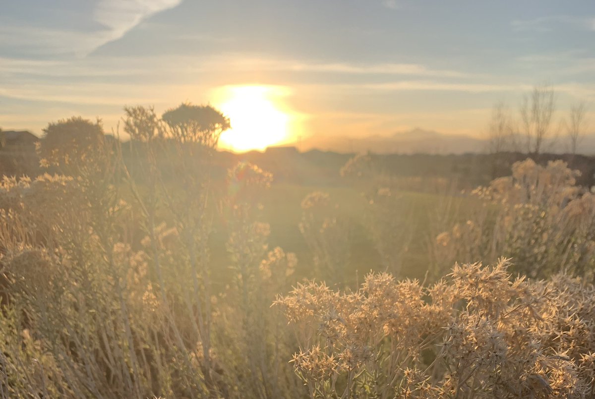 FPrintsProject's tweet image. Missing #summer