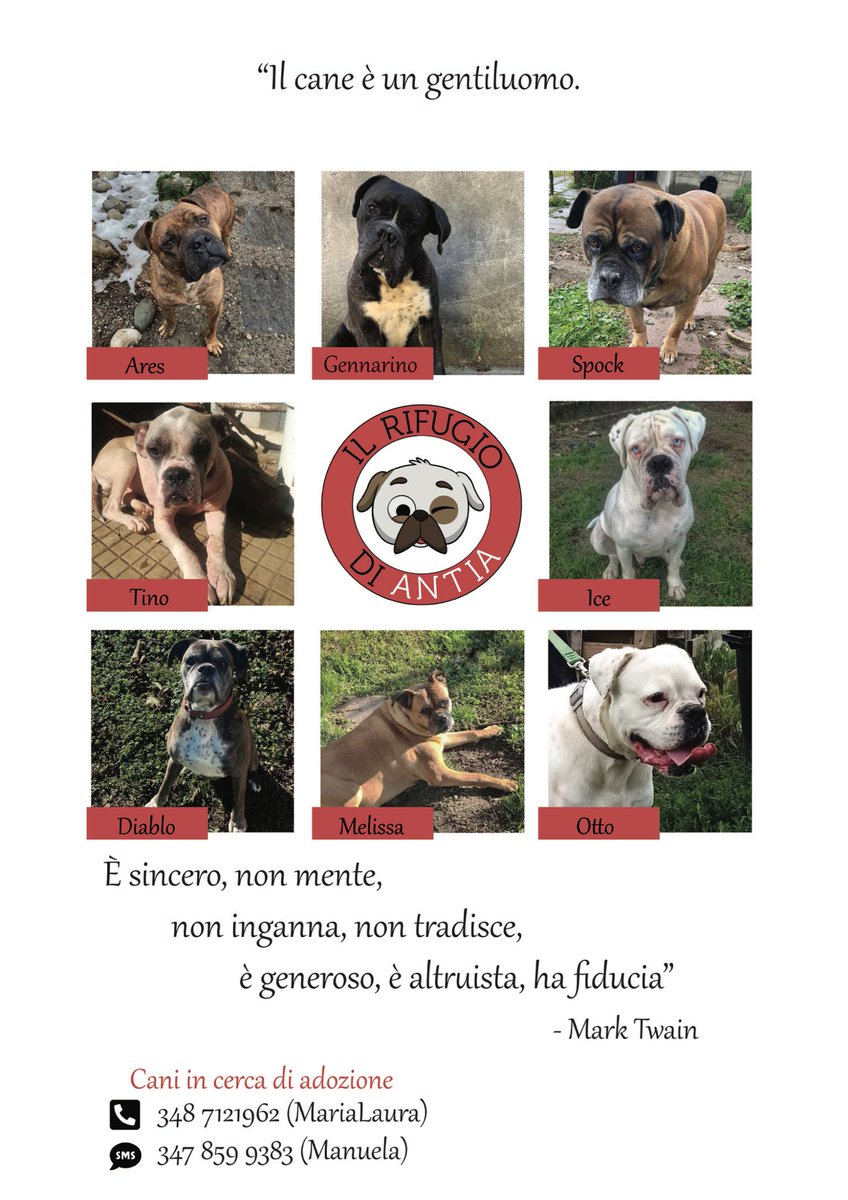 Il rifugio di Antia tweet media