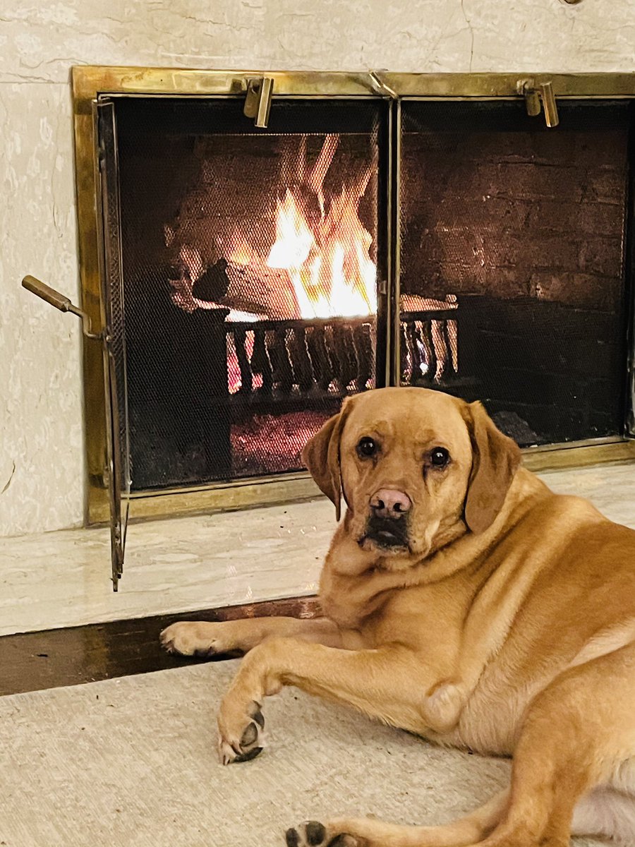 I heard a rumour my best friend is going to be here with me for another 3 weeks… As long a he doesn’t interrupt my naps!