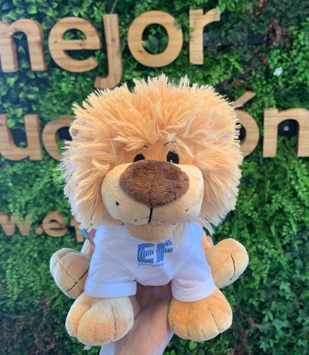 EF Argentina tweet media