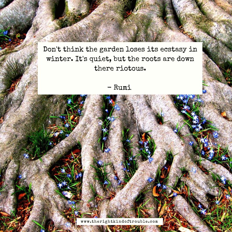 "Don’t think the garden loses its ecstasy in winter. It’s quiet, but the roots are down there riotous.”

— Rumi

#QotD #Rumi #Roots #Winter #Poetry #SoulPoems #TheRightKindOfTrouble