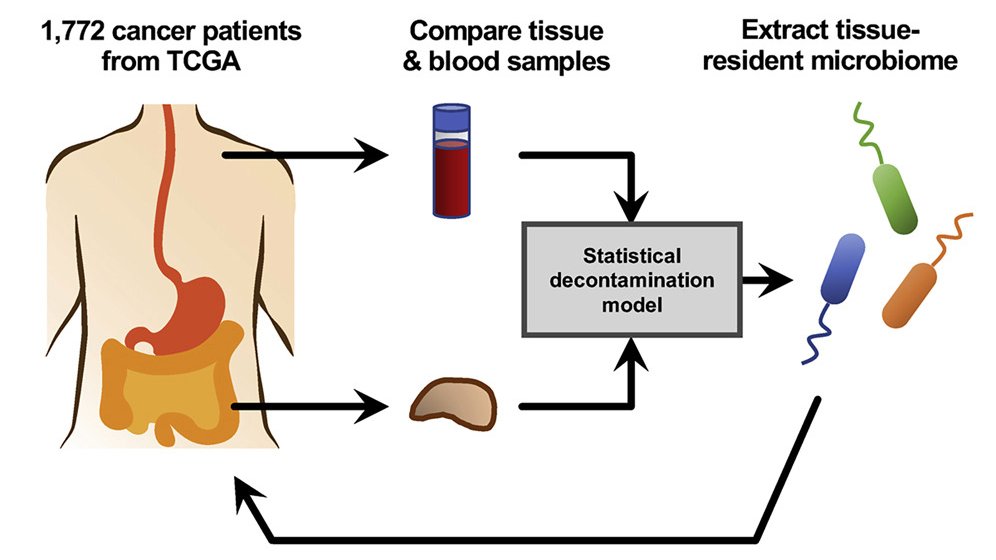 Cancer #microbiome atlas: <a href="/abdohlman/">Anders B. Dohlman, PhD</a> &amp;Co present database of decontaminated tissue-resident #microbial profiles of #Cancer Genome Atlas GI #cancer tissues. Matching to TCGA tissues allows ID of prognostic species &amp; pan-cancer of host-microbe analyses  cell.com/cell-host-micr…