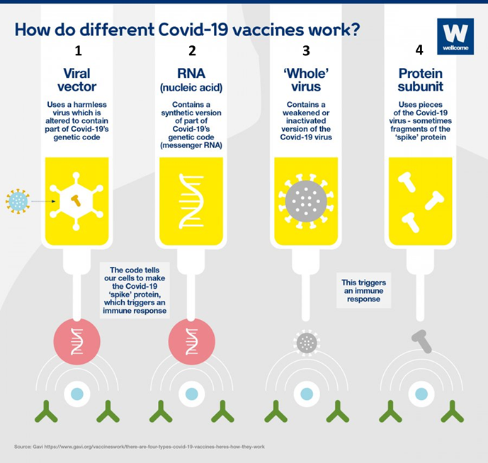 3/A: les vaccins à ARN.Il y a 4 types de vaccins Covid en développement en ce moment. Les vaccins à ARN (ex: Pfizer/Moderna) appartiennent à la catégorie 2 ci-dessous. Ils ne contiennent PAS de virus. Juste un ARN « messager » (« ARNm ») enrobé de lipides.