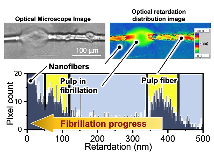 GlobalSpecLLC's tweet image. New optical system may enhance AI analysis of wood pulp quality
insights.globalspec.com/article/15678/…

#woodpulp #cellulosenanofiers #opticalmicroscopy