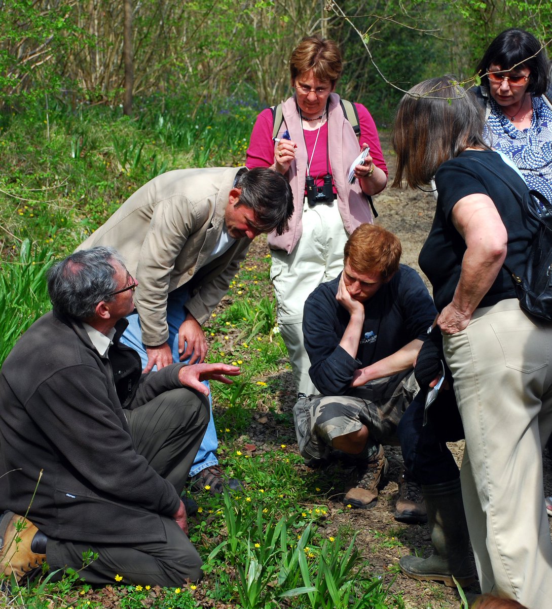 Want to help stop the decline of #bees #butterflies #wildflowers #birds which share #RomneyMarsh with us?
We want to hear from local people willing to record #wildlife. Interested? Contact Tobias on 07568 428365 or Tobias.Jackson@kentwildlife.org.uk
#biodiversity #climatescience
