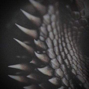 ⏃Whisper of Locket ϟ tweet media