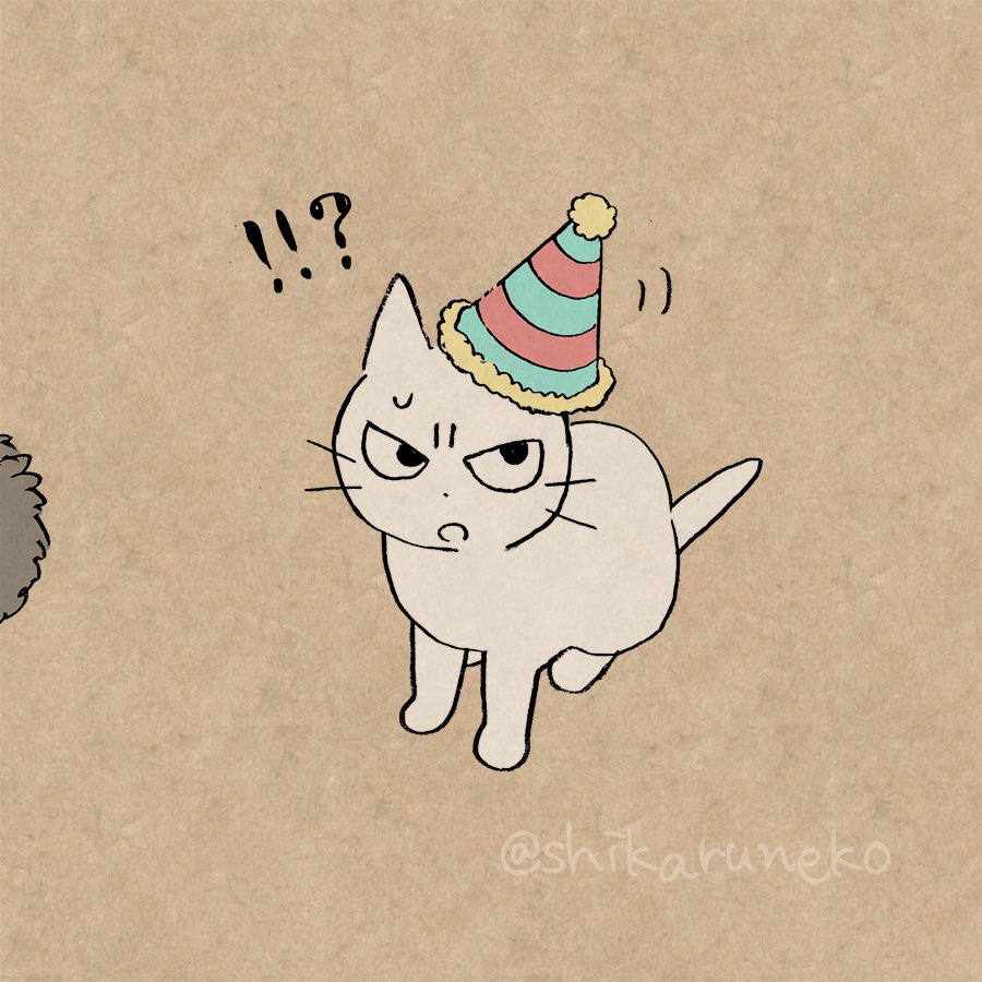 本日1月5日は「しかるねこ」の誕生日!おかげさまで3周年を迎えました!いつもありがとうだよ!! 