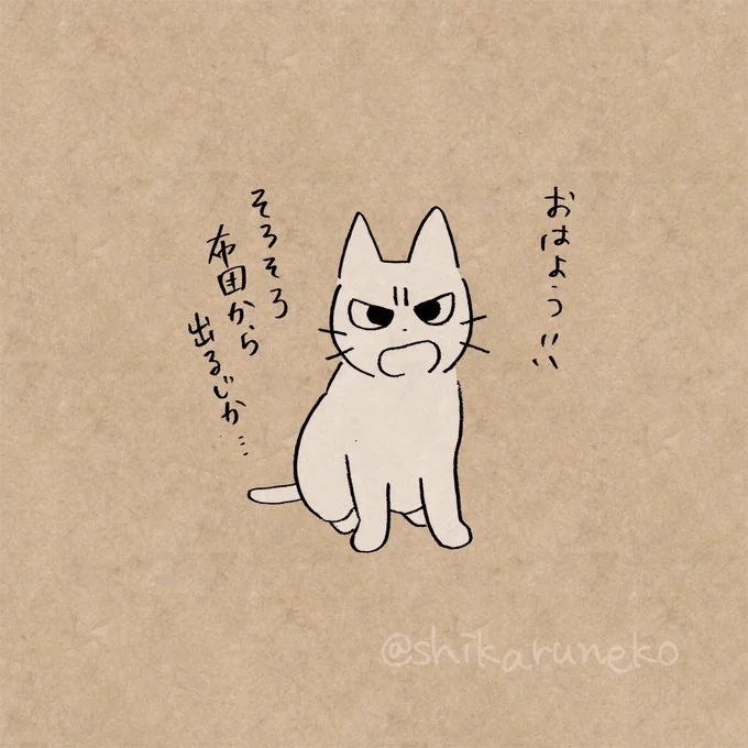 本日1月5日は「しかるねこ」の誕生日!おかげさまで3周年を迎えました!いつもありがとうだよ!! 