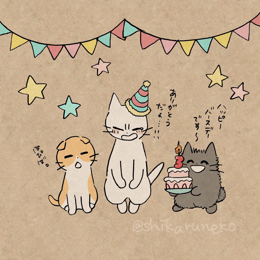 本日1月5日は「しかるねこ」の誕生日!おかげさまで3周年を迎えました!いつもありがとうだよ!! 