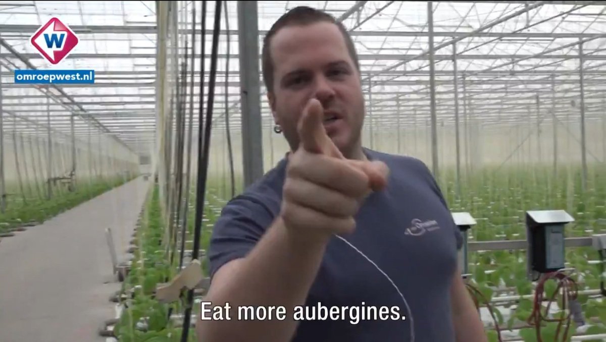 Met gratis tip van <a href="/Duivee/">Dirk van Duijvenbode</a> alias #Aubergenius 👇

"Eat more aubergines" 🍆