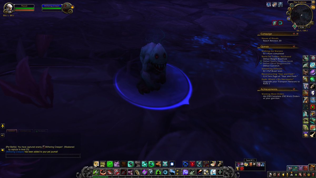 StoneButchCass's tweet photo. @Warcraft All the murlocs we killed https://t.co/nMVjpoIamk