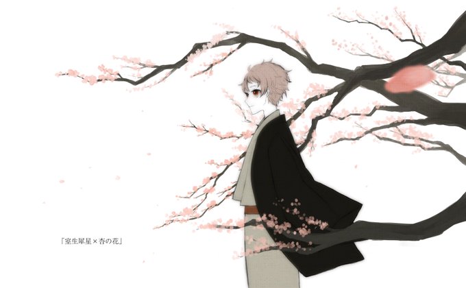 杏の花のtwitterイラスト検索結果 杏の花のtwitterイラスト検索結果