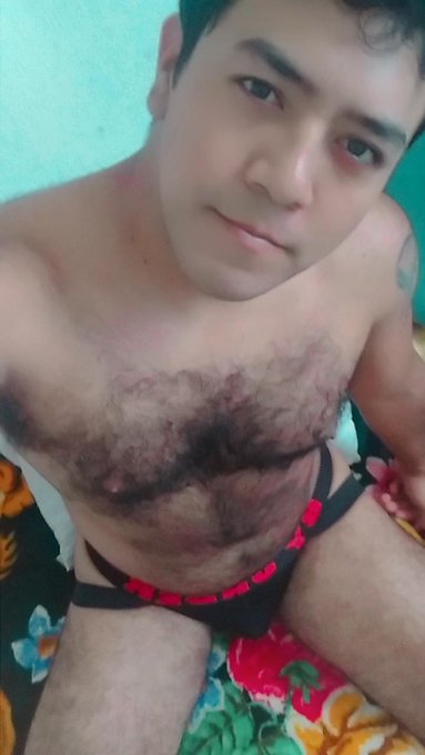 hairybear