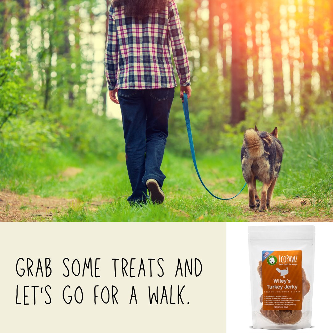 ecopawz's tweet photo. Grab some treats and let’s go for a walk. #wileystreats #ecopawz #turkeyjerky #dogs #dogsoftwitter #dogwalk #hikingwithdogs #westies #shopsmallbusiness https://t.co/wfymBk4m9g