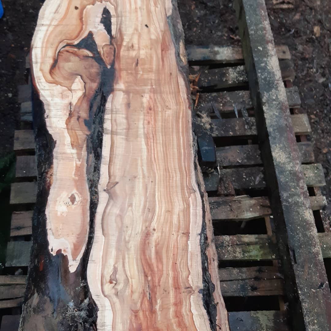 andrewturff's tweet photo. Spot of chainsaw milling to finish the day .
https://t.co/moS5iUPzSZ 
#norwich #norfolk https://t.co/vJPD9lxMX5