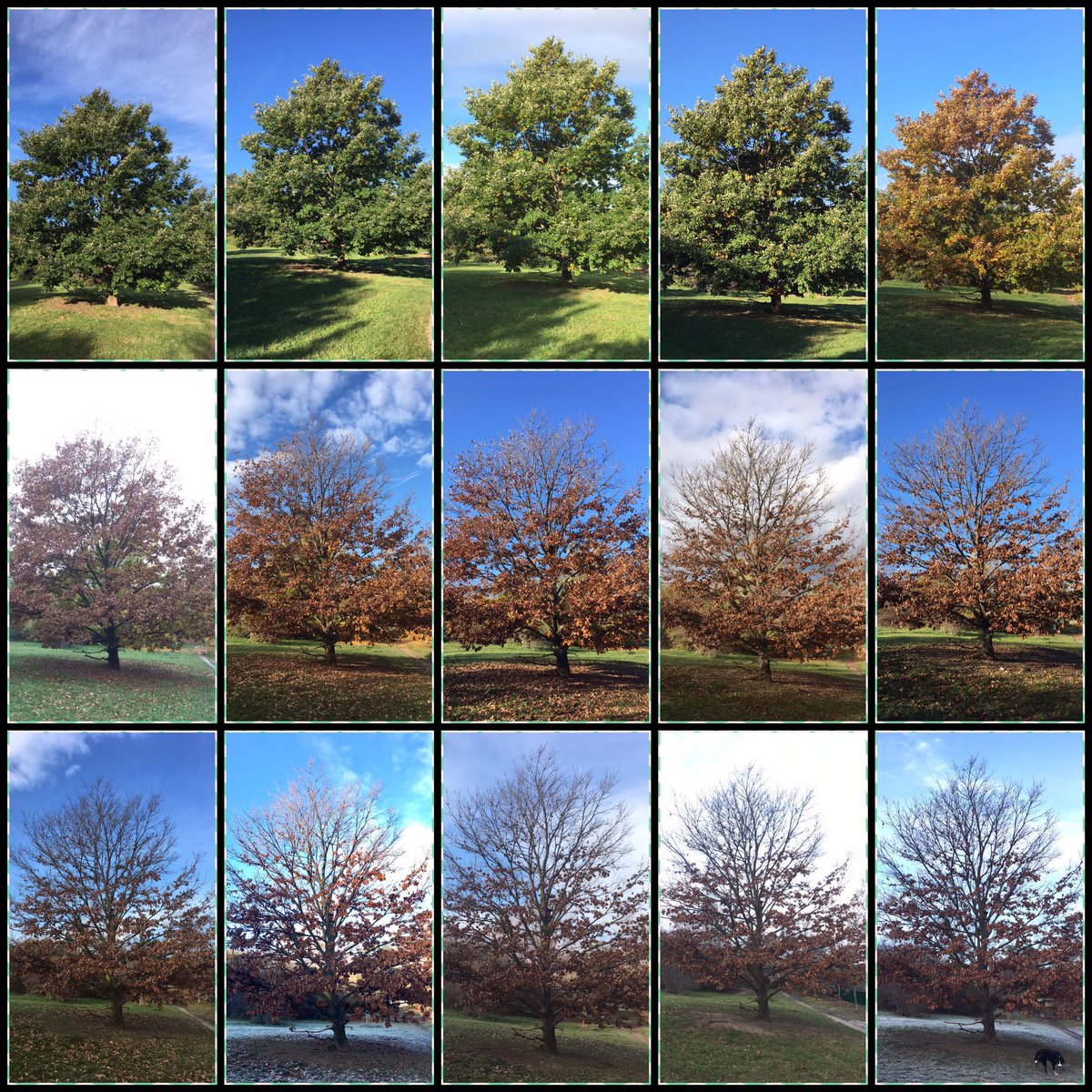 Ana🍀🇵🇹 tweet media