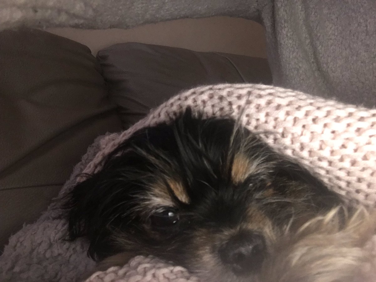 Lynn Struthers tweet media