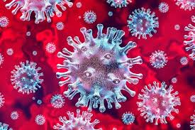 Just a few days before Christmas, all the strains of coronaviruses had an urgent top-secret board meeting. Important matters needed to be discussed. Crucial decisions to be made. On the 20th of December…  https://twitter.com/Lyndonx/status/1345852827625730048