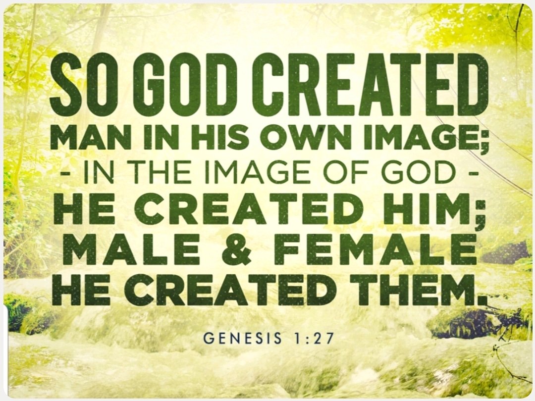 RClemensJr's tweet photo. We resemble the Creator of the universe. When we ignore the hurting, oppose the neglected, & forget the unwanted, we r not just sinning against some vague moral code; we insult God's masterpiece - the 1 thing on this planet, & perhaps the universe, made to look like him #IASimage https://t.co/ltPhUFJvR7