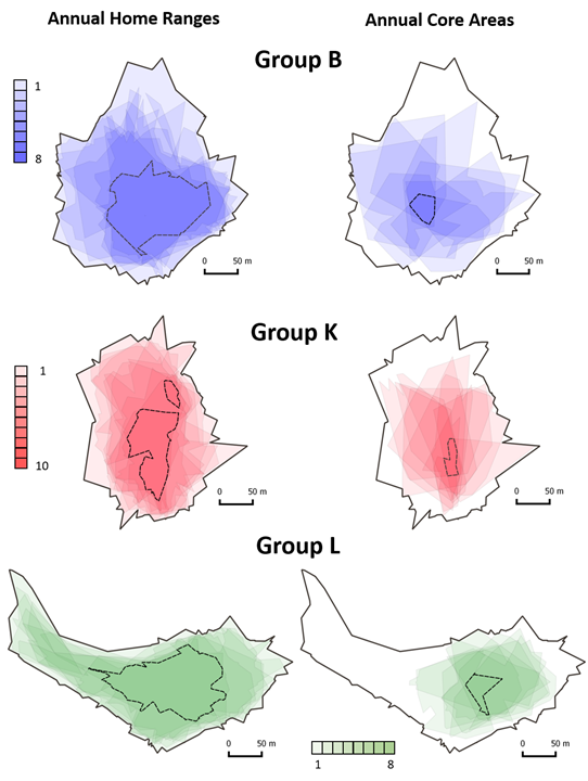 4) Our three main study groups used the same general home range for at least a decade