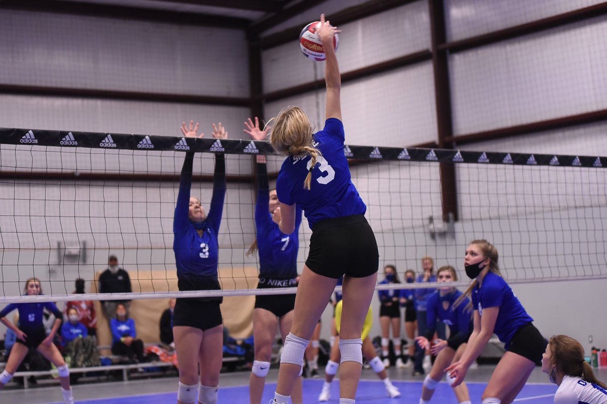 Raylee Schaffner tweet media