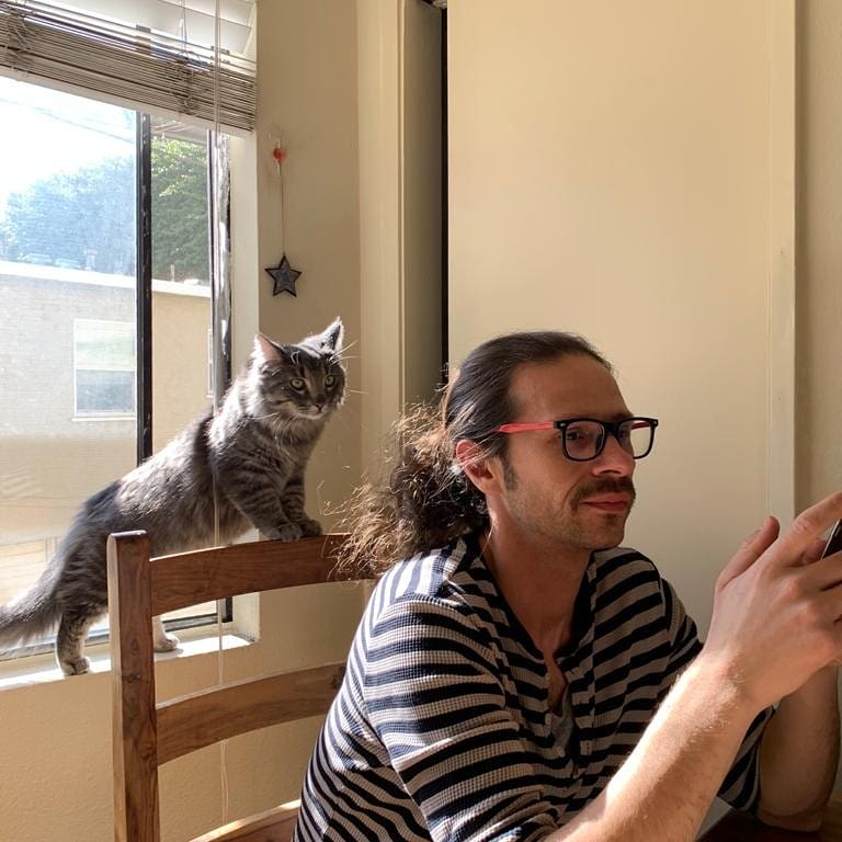 LittleGirlRobot's tweet image. Happy New Year!! ❤
Here are some pictures from our first HR meeting of the year. 🐱
#catsoftwitter #kittenholidays #kittensoftwitter #HRdepartment #mainecoon #mainecoonsoftwitter #littlegirlandtherobot #musicforfilm #musicfortv #musicfordocs #ginggershankar #doubleviolin #ASCBN