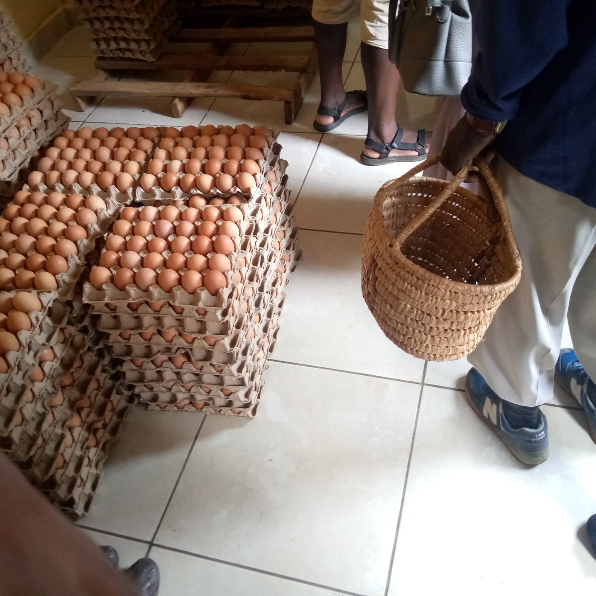 ArthurJChomba's tweet photo. Me entering a relationship with one basket! https://t.co/mJSLceM1qL