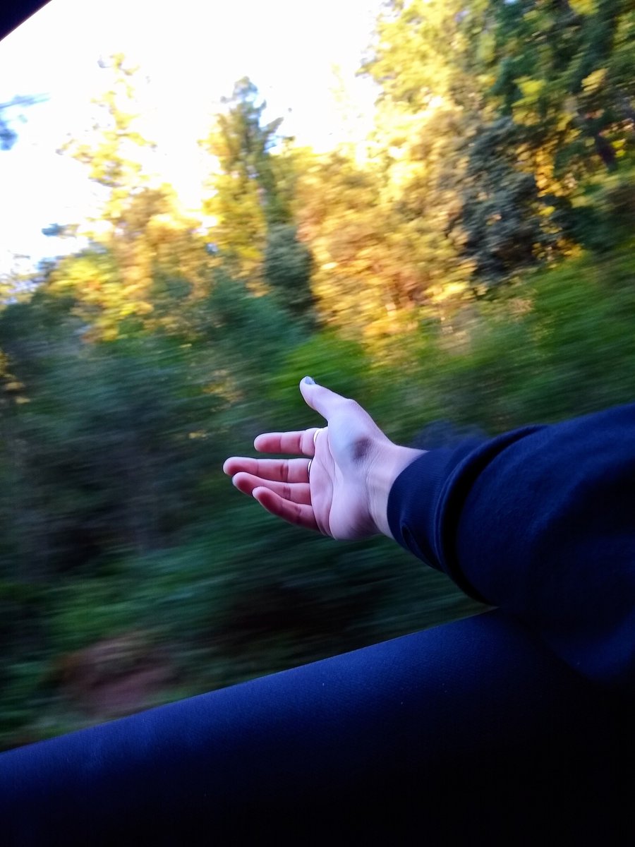 sporeborg's tweet image. It has been a HOT minute twitter; I've been enjoying the outdoors too much.