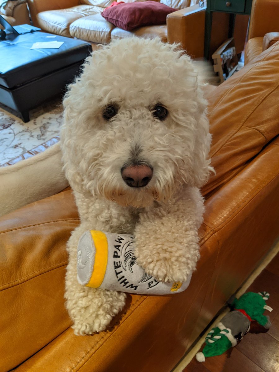 My parents really bought my dog a fake white claw toy huh